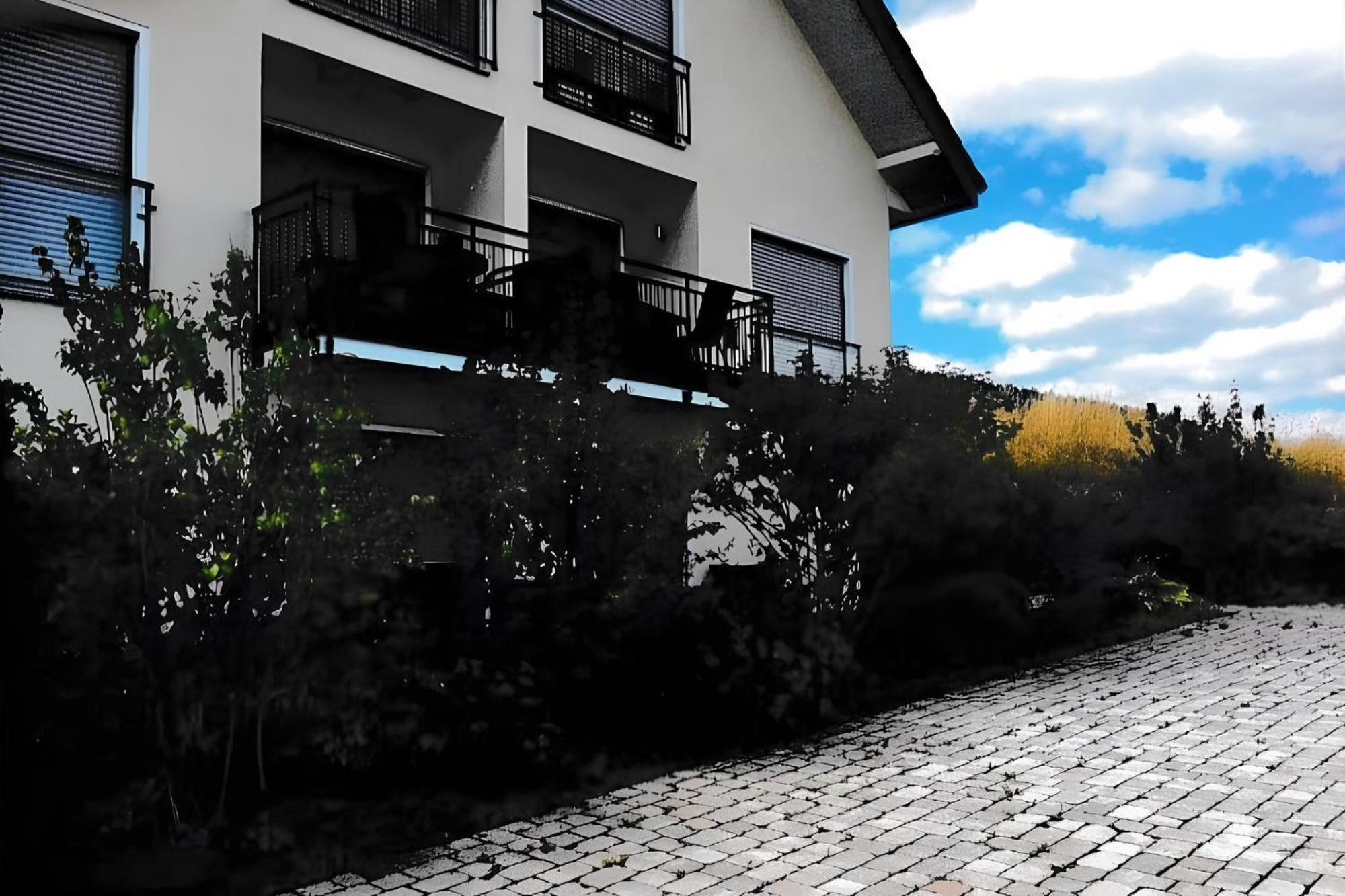 וילינגן Ferienwohnung Blanco In Willingen מראה חיצוני תמונה